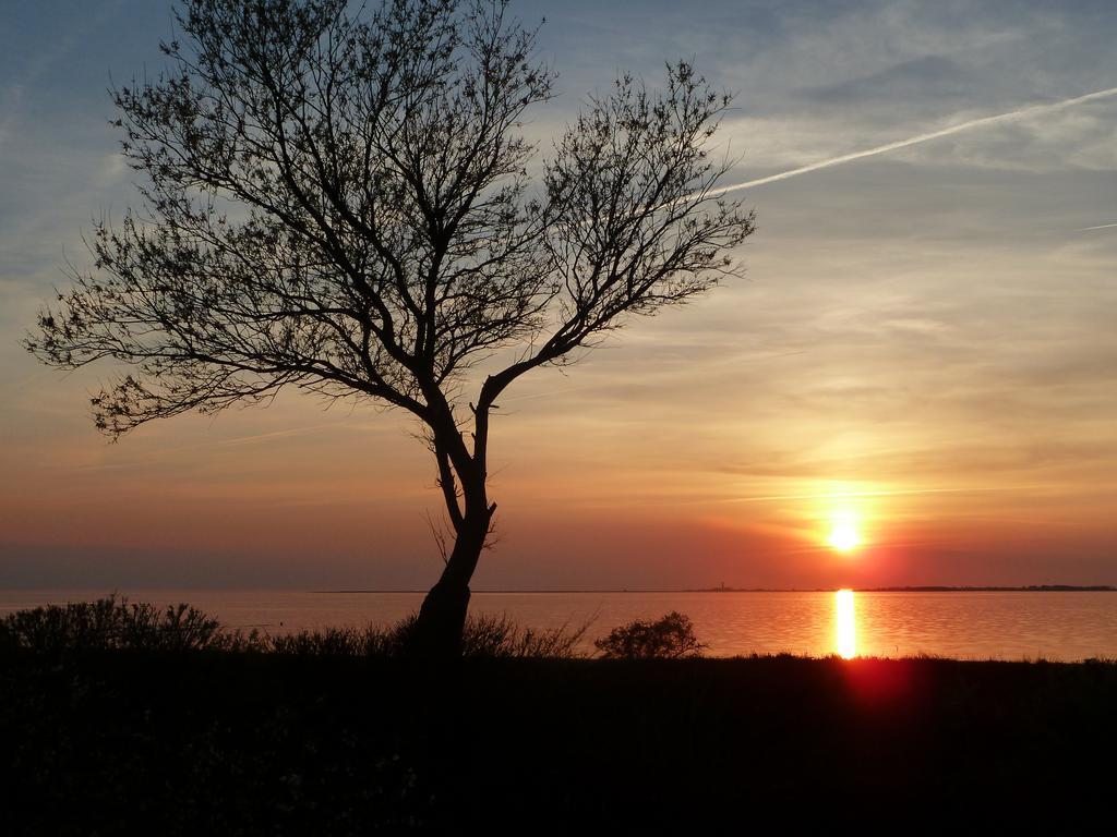 Haus Achtern Diek In Erster Reihe Am Meer Fehmarn Kültér fotó