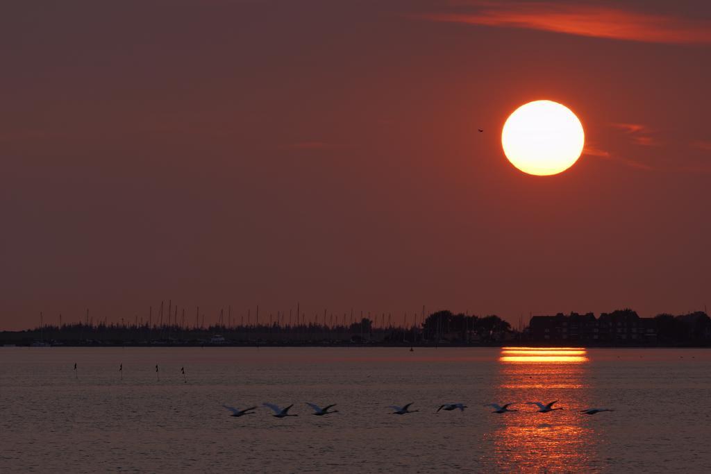 Haus Achtern Diek In Erster Reihe Am Meer Fehmarn Kültér fotó