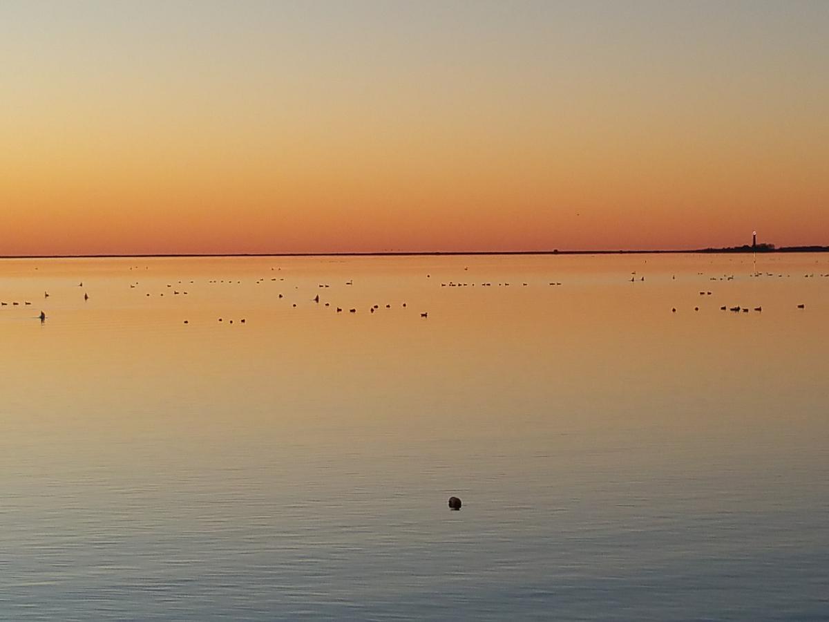 Haus Achtern Diek In Erster Reihe Am Meer Fehmarn Kültér fotó